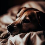 koldra obciazeniowa dla kazdego